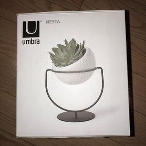 Umbra Planter